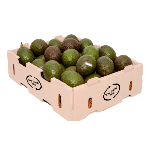 avofrut-6kg-para-web